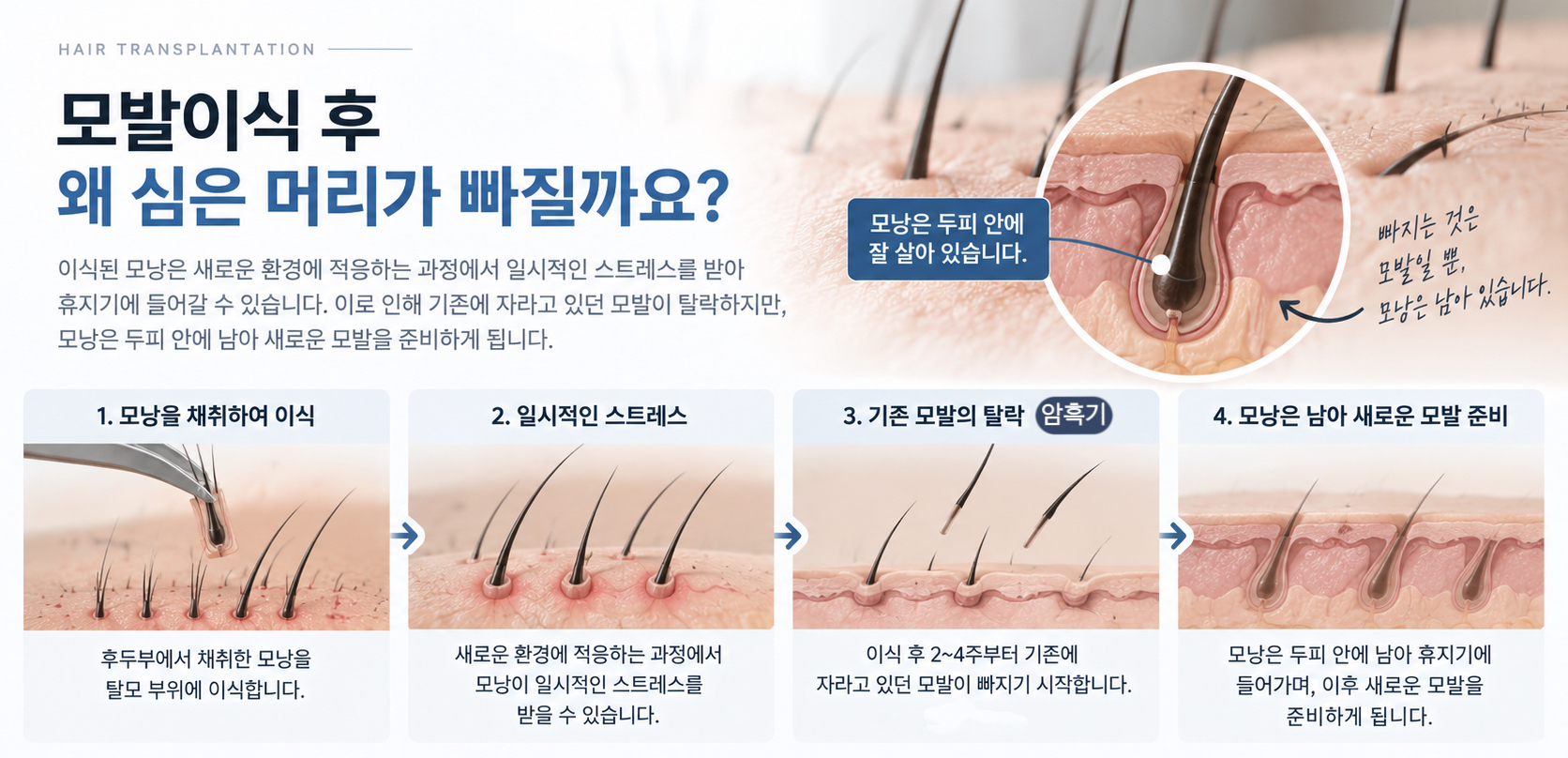 KakaoTalk_20260914_173442867.jpg
