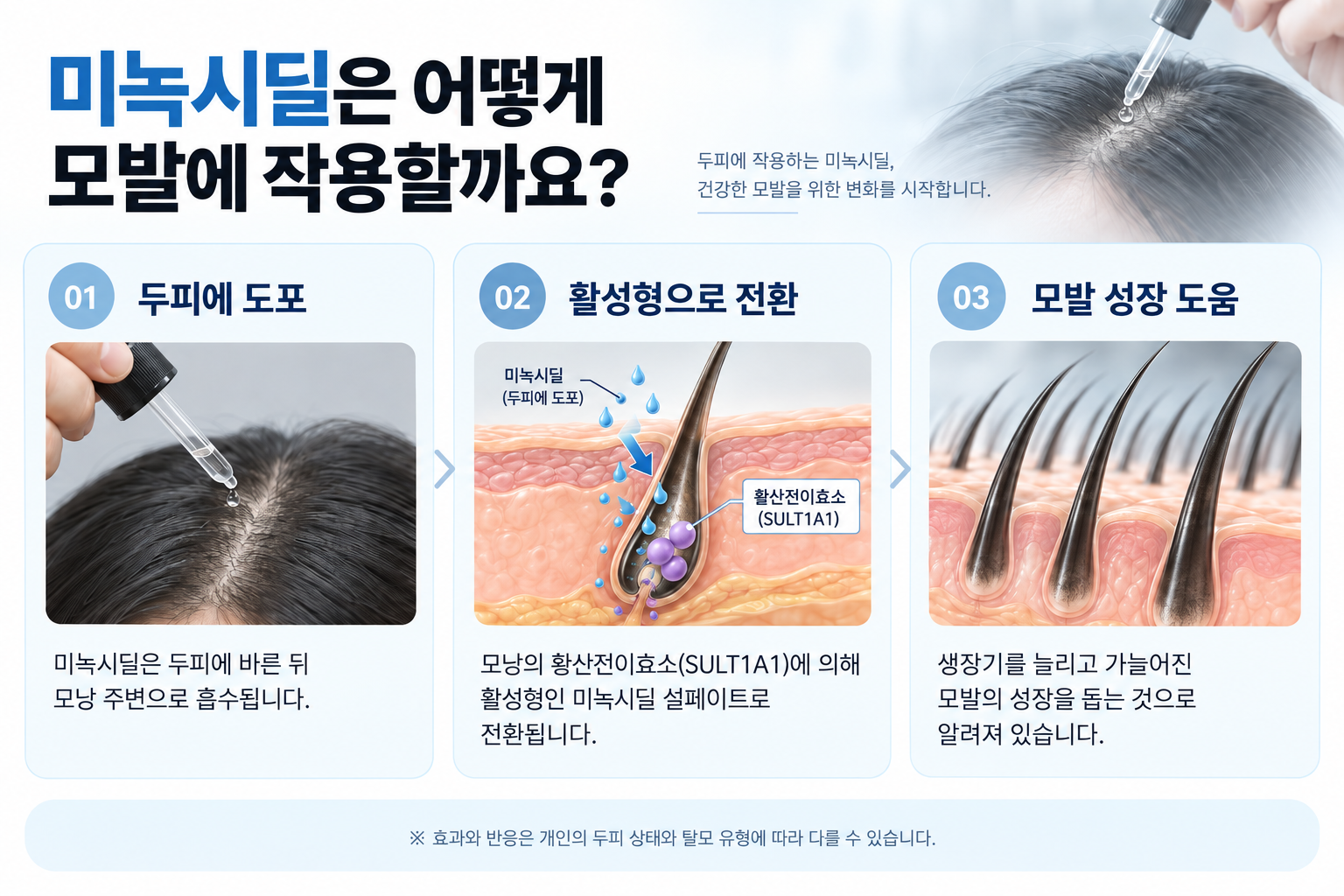 ChatGPT Image 2026년 9월 23일 오후 01_18_51.png