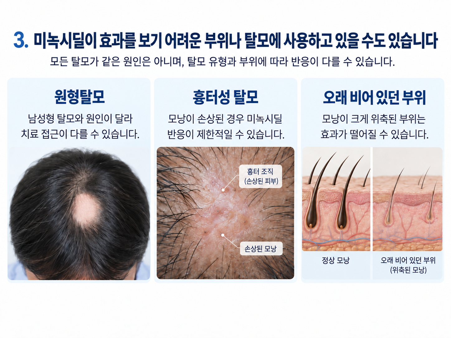 ChatGPT Image 2026년 9월 23일 오후 01_45_28.png