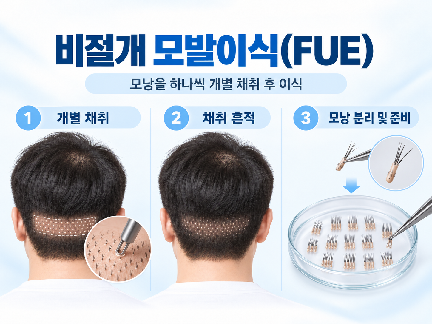 ChatGPT Image 2026년 9월 8일 오후 05_10_30.png